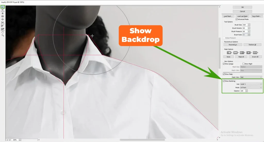 Screenshot Of Showing The Settings Of Liquify Tool